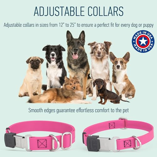 Biothane Waterproof Durable Dog Collar with Herm Sprenger - Quick Release ClicLock Buckle - Fits Medium and Large Dogs - Made in USA (Passionfruit Pink, W 1" x L 15"-25") - color: Passionfruit Pink, size: W 1" x L 15"-25"