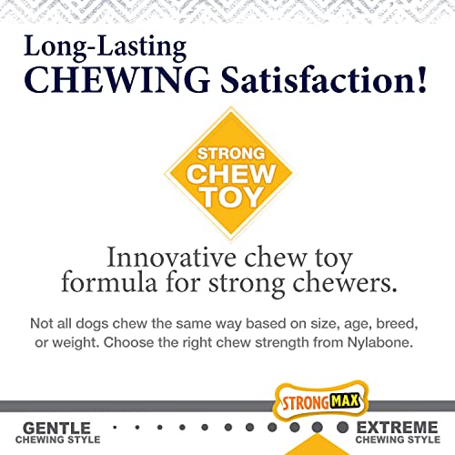 Nylabone Gourmet Style Wishbone Strong Chew Toy for Dogs, Chicken Flavor, Small - Up to 25 lbs, 1 Count - size: Small