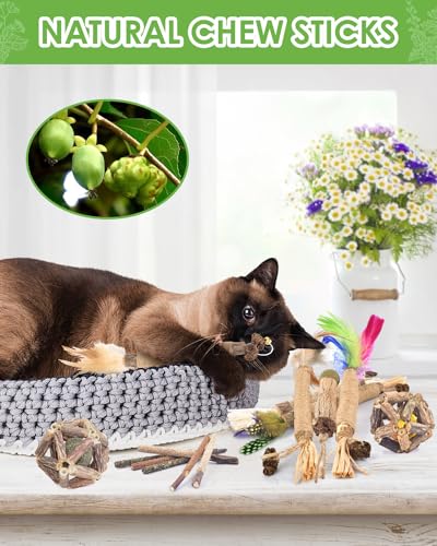 TINDTOP Cat Chew Toys, 12 Pack Silvervine Chew Sticks with 2 Pack Cage Balls for Kittens Teeth Cleaning, Matatabi Dental Care, Increase Appetite, Aggressive Chewers Cat Dental Toy - color: 14 Pack