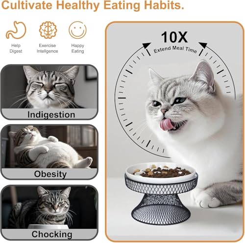2PCS Raised Ceramic Cat Slow Feeder Bowl Elevated Food Bowl with Stand, Cat Slow Bowl for Wet Food and Dry Food,Slow Down Eating Speed, Whisker Friendly Pet Puzzle Feeder for Kitten and Small Dog - color: White Set of 2