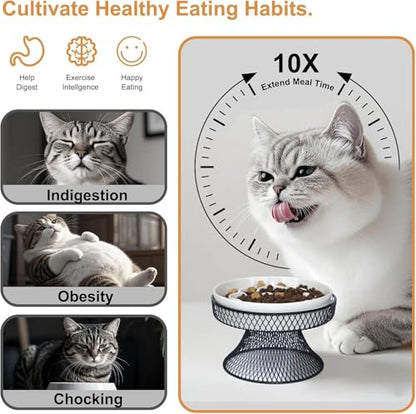 2PCS Raised Ceramic Cat Slow Feeder Bowl Elevated Food Bowl with Stand, Cat Slow Bowl for Wet Food and Dry Food,Slow Down Eating Speed, Whisker Friendly Pet Puzzle Feeder for Kitten and Small Dog - color: White Set of 2