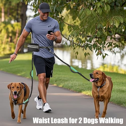 Hands Free Dog Leash Waist & Crossbody for Walking, No Pull Heavy Duty Bungee Double Dog Leash for Two Dogs with Pouch, Padded Handles & Reflective for Large Medium Dogs, Black - size: 2 Leashes