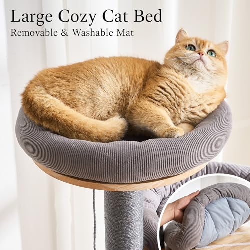 797Audio Wood Modern Cat Tree, 61.5" Cat Tower with Sisal Scratching Posts, Cat Condo, Capsule, Hamnock and Spinner Toy,Solid Wooden Aesthetic Multi-Level Cat Climbing Tree for Adult Indoor Cats-Gray - color: 62 Inch-Turntable-Gray