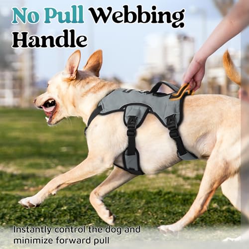 rabbitgoo Escape Proof Dog Harness, Soft Padded Full Body Pet Harness, Reflective Adjustable No Pull Vest with Lift Handle and Leash Clip for Large Dogs Walking Hiking Training, M, Grey - color: Grey, size: Medium (Pack of 1)