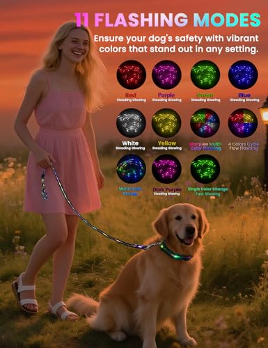 Waterproof LED Dog Leash + Collar,11Flashing Modes, Glow Collar for Dogs Set, Super Bright Reflective Leash for Small, Medium & Large Dogs USB-C Rechargeable, Light Up Dog Leash - 5FT