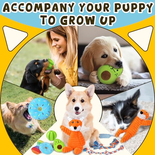Zeaxuie 9 Pack Luxury Puppy Toys for Teething Small Dogs, Puppy Chew Toys with Cute Squeaky Dog Toys, Ball and More Rope Dog Chew Toys - color: 9 Pack (No-stuffed Fox)