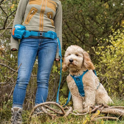 Kurgo RSG Active Utility Belt - Adjustable Adventure Dog Belt - MOLLE-Compatible - Reflective Trim - Lightweight, Comfortable Fit - Hands-Free - style: Waist Belt