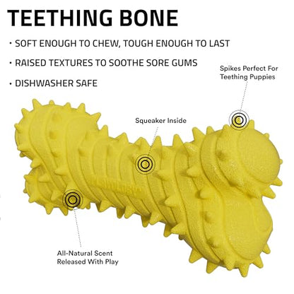 Playology Dog Toys | Teething Bone for Large Puppies and Young Dogs | Chicken Scented Jumbo Dog Bone Chew Toy | Teething Puppy Essentials - size: Jumbo, style: Chicken