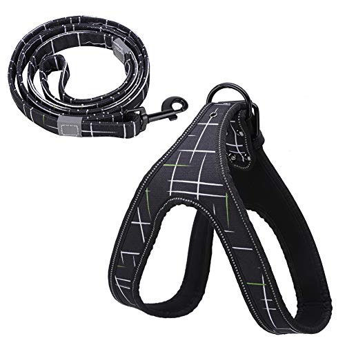 Reflective Dog Harness & Leash Set | Protective Pet Traction Suit for Night Visibility | Adjustable Dog Vest for Small/Medium/Large Breeds | Comfortable Neoprene Lining