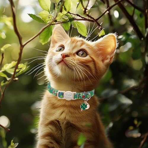 2 Pack St. Patrick’s Day Cat Collars - Breakaway Cat Collar with Bell, Green Clover Pendant, Adjustable Cute Kitten Collars for Boy Girl Cats, Beer&Flower Irish Shamrock - color: Beer&Flower Clover