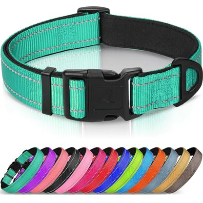 Joytale Reflective Dog Collar, Soft Neoprene Padded, Metal D-Ring, Nylon Pet Collar Adjustable for Puppy and Small Dogs, Teal, XS - color: Teal, size: X-Small (Pack of 1)