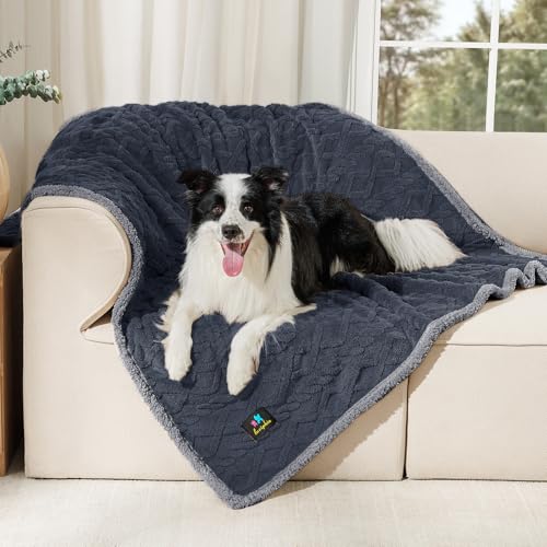 Luciphia Waterproof Pet Blanket, Liquid Pee Proof Dog Blankets for Sofa Bed Couch, Reversible Sherpa Fleece Furniture Protector Cover for Small Medium Large Dogs Cats,Dark Grey Large（65" x 57"） - color: Dark Grey, size: L (65" x57")