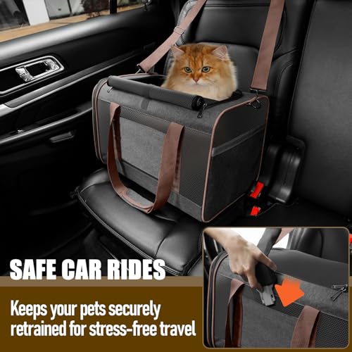 GAPZER Small Dog Carrier Cage Soft Chihuahua / Softshell Big Cat Carrier Maine Coon / Pet Taxi Carrying Bag over 25lbs / Top Loader Travel Kennel Brown - color: Dark Grey-Brown