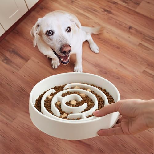 Ceramic Slow Feeder Dog Bowl,1.5 Cups Pet Slow Feeder for Small and Medium Breed,Puzzle Dog Food Dish,Anti-Gulping,Stop Bloat,Preventing Choking(White) - color: White