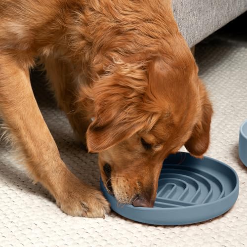 Should We Go? Slow Feeder for Dogs & Puppies, The Slowdown Bowl Silicone Slow Eating, Modern Lick Mat Design, Reduces Gulping, Fits 2.5 Cups, 9.5” Across x 1.5” Tall, Mealtime Challenge, Large-Ocean - color: Ocean - Rainbow Design, size: Large (9.5” Acros