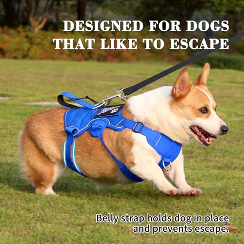 Escape Proof Dog Harness, Soft Padded Full Body Pet Harness, Reflective No Pull Dog Harness with Handle and 2 Leash Clips for Small Dogs Walking Hiking Training (Blue,S)