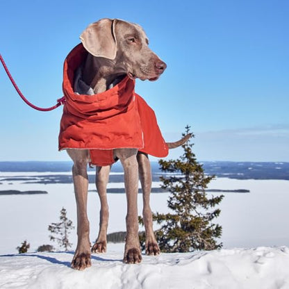 Hurtta Extreme Warmer III ECO, Cold Weather Winter Dog Coat, Eggplant, 14 in - color: Eggplant, size: 14 in