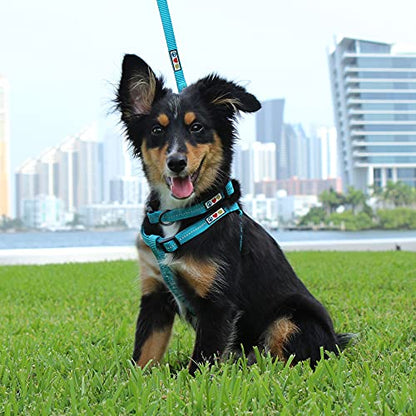 Pawtitas Recycled Dog Collar with Reflective Stitched Puppy Collar Made from Plastic Bottles Collected from Oceans Extra Small Teal Turquoise Wave - color: Recycled Teal, size: X-Small (Pack of 1)