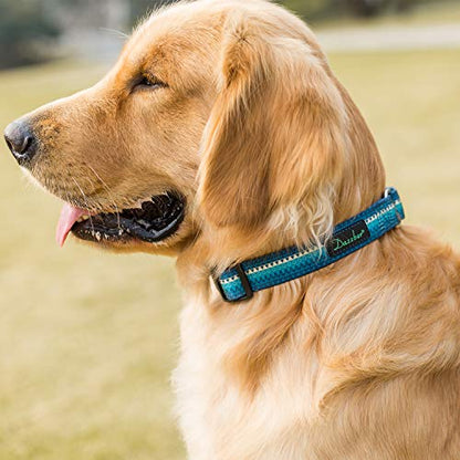 Martingale Dog Collar No Pull Pet Collar Heavy Duty Dog Martingale Collars Silky with Unique Geometric Pattern for Medium and Large Dogs (Large, Turquoise) - color: Turquoise, size: Large: 17"-25", 1" Wide