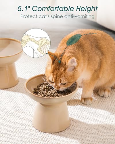 vancasso Ceramic Elevated Cat Bowls 2-Pack - 6.2" Extra Wide Raised Cat Food & Water Dishes, 5.1" Optimal Height Anti-Whisker Fatigue Shallow Bowls for Cats/Kittens/Dogs, Lead & Cadmium Free (Brown) - color: Brown