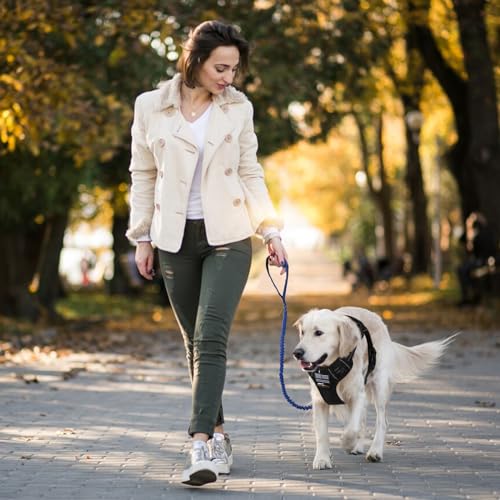 BUMBIN 6Ft Dog Leash - Large Dogs, Bungee Leash with 2 Handles, Heavy Duty, No Pull Shock Absorbing, Deep Blue - color: Deep Blue