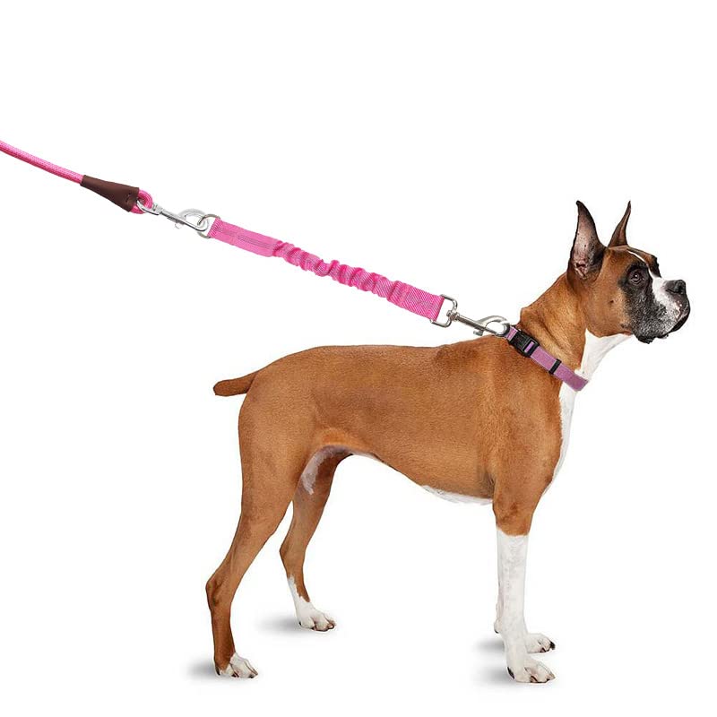 Bungee Dog Leash Extension, 18”Dog Shock Absorber Extender, Works with Any Leash for Walking, Jogging, Training, Playing - color: Pink