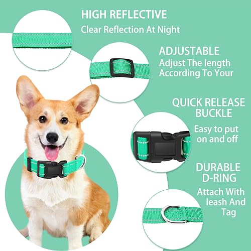 Reflective Dog Collar with Safety Locking Buckle, Adjustable Soft Breathable Nylon Collars for Small, Medium and Large Dogs(Collar+Leash XS Width 3/8" Turquoise) - color: Turquoise, size: XX-Small (Width 3/8")