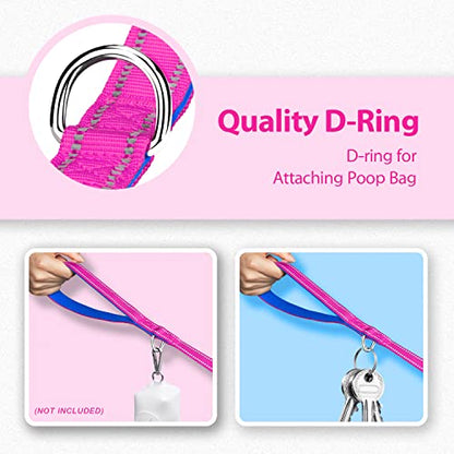 PHOEPET 5 Feet Dog Leash - Dual-Side Reflective - Soft Padded Handle - Fit for Walking, Training or Exploring Hiking, Camping (Pink + Royal Blue Base) - color: Pink + Royal Blue Base