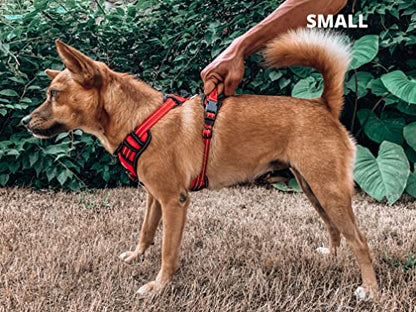 Tuff Pupper No Pull Easy Walk Dog Harness | Heavy Duty Pet Vest | Front & Back Leash Clips | Strong Safety Handle | Reflective Anti Pull Vest | Comfortable Padded Escape Proof Harness (Small, Red) - color: March Red, size: Small (Neck: 10-17" , Chest: 14-