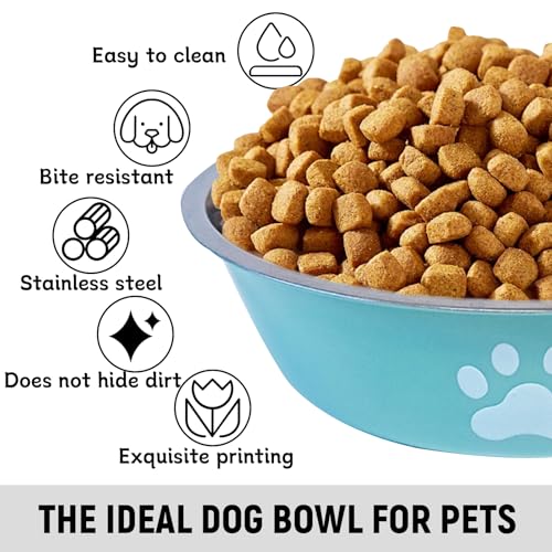 kathson 2 Pack Stainless Steel Dog Bowls,6" Spill Proof Metal Dog Food Bowls,Nonslip Rubber Bottom Pet Food and Water Bowl Set,Puppy Dishes Feeder for Medium Small Dogs,Blue - color: Blue, size: 2.5cups