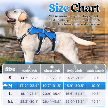 rabbitgoo Escape Proof Dog Harness, Soft Padded Full Body Pet Harness, Reflective Adjustable No Pull Vest with Lift Handle and Leash Clip for Large Dogs Walking Hiking Training, M, Blue - color: Blue, size: Medium (Pack of 1)