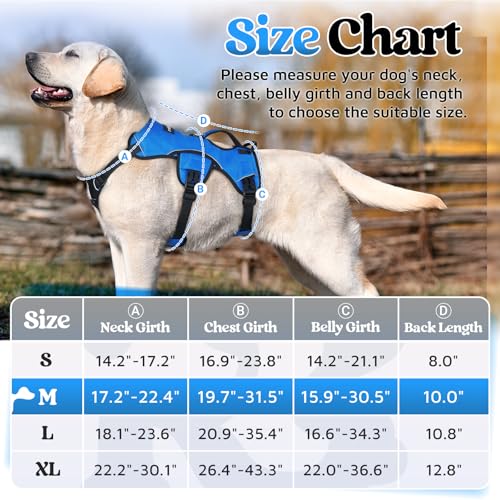 rabbitgoo Escape Proof Dog Harness, Soft Padded Full Body Pet Harness, Reflective Adjustable No Pull Vest with Lift Handle and Leash Clip for Large Dogs Walking Hiking Training, M, Blue - color: Blue, size: Medium (Pack of 1)