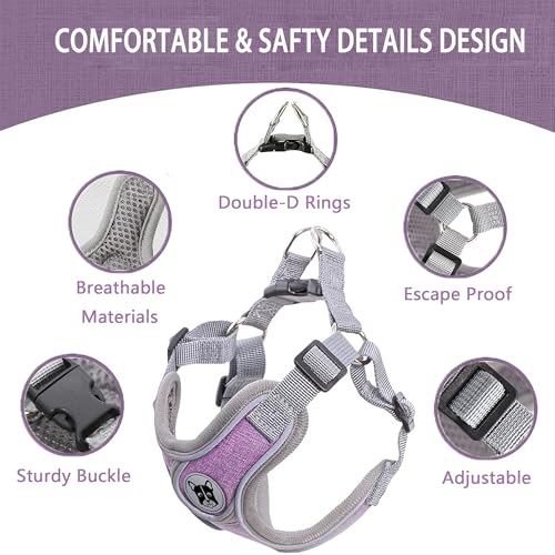 Small Dog Harness and Leash Set,No Pull Adjustable Step in Soft Mesh Vest Harness,Easy Walk Reflective Pet Harness with Padded Handle for Walking Training Small Medium Large Dogs and Cats (Purple, S) - color: Purple, size: S