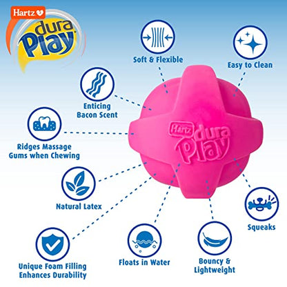 Hartz Dura Play Bacon Scented Squeak Ball Dog Toy for Small Breeds, 3 Pack - size: 3 Count, style: Small Ball