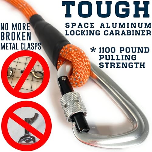 Heavy Duty Dog Leash with 1100LB Rated Locking Carabiner – 6FT Climbing-Inspired Reflective Rope Leash for Large & Medium Dogs that Pull – Padded Handle (Military Green) - color: Military Green
