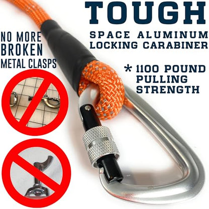 Heavy Duty Dog Leash with 1100LB Rated Locking Carabiner – 6FT Climbing-Inspired Reflective Rope Leash for Large & Medium Dogs that Pull – Padded Handle (Military Green) - color: Military Green