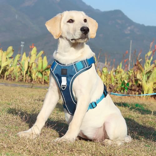 dPois Adjustable Reflective Dog Harness with Back Handle Tactical Padded Vest for Control Easy Walking Large Breed Dogs Blue Large - color: Blue, size: Large