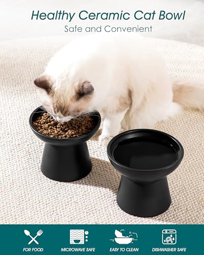 vancasso Ceramic Elevated Cat Bowls 2-Pack - 6.2" Extra Wide Raised Cat Food & Water Dishes, 5.1" Optimal Height Anti-Whisker Fatigue Shallow Bowls for Cats/Kittens/Dogs, Lead & Cadmium Free (Black) - color: Black