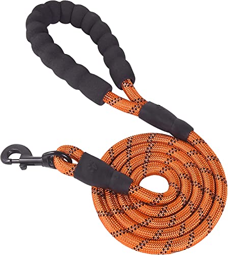 Dog Leash Made from Nylon with Comfortable Padded Assorted Colors Handle for Small Medium and Large Dogs (5FT-1/2'') Laytek from Family Star SH (Orange) - color: Orange
