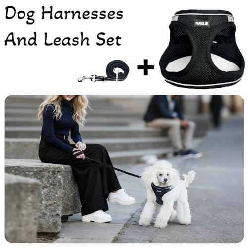 Dog Harness and Leash Set, No Pull Soft Mesh Pet Harness -in Puppy Pet Vest Harnesses for XS,Small,Medium Dogs and Cats Black-XS - color: Black, size: XS (Chest: 12.5-14")