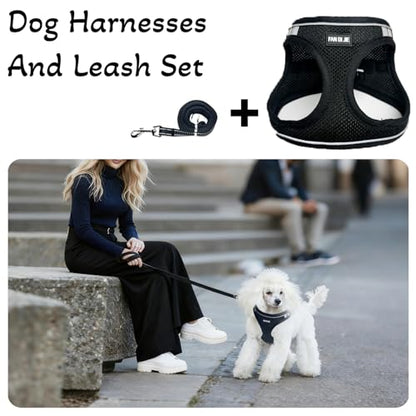 Dog Harness and Leash Set, No Pull Soft Mesh Pet Harness -in Puppy Pet Vest Harnesses for XS,Small,Medium Dogs and Cats Black-XS - color: Black, size: XS (Chest: 12.5-14")