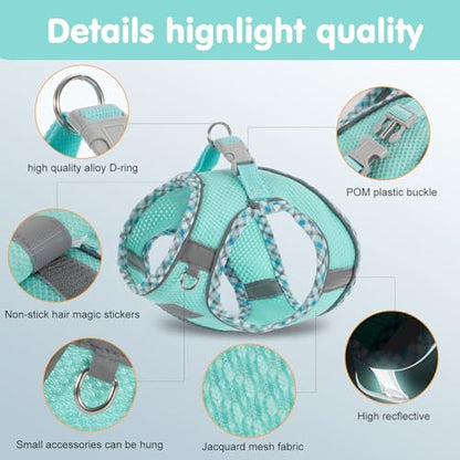 Dog Harness & Leash Set - No Pull Soft Breathable Small Dog Harness, Adjustable Reflective Step-in Vest for Puppy, Kitten, Cats - color: blue-green, size: xxs