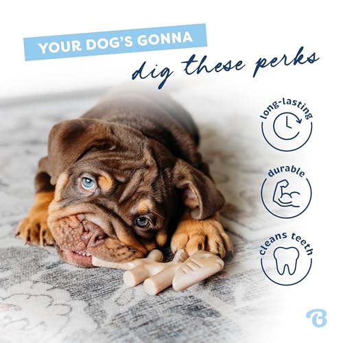 Benebone Puppy Fishbone Dog Chew Toys, Softer for Modest Chewers, Made in USA