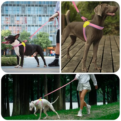 Kazazoo No Pull Small Dog Harness and Leash Set, Adjustable Puppy Soft Vest Harness with Breathable Mesh Padded, Reflective Lightweight Harness with Buckle for Extra Small Medium Dogs, Pink XS - color: Purple&Pink, size: XS