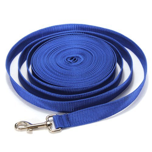 30FT/9M Long Leash Dog Obedience Recall Training Agility Lead for Training Play Camping or Backyard (Blue)