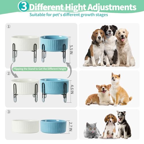 32 OZ Raised Dog Cat Bowls with Elevated Metal Stand, 6.5 Inch Ceramic Round Pet Food and Water Feeder Bowl Dish for Cats & Dogs, White & Blue, Set of 2 - color: White & Blue