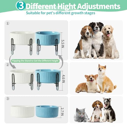 32 OZ Raised Dog Cat Bowls with Elevated Metal Stand, 6.5 Inch Ceramic Round Pet Food and Water Feeder Bowl Dish for Cats & Dogs, White & Blue, Set of 2 - color: White & Blue