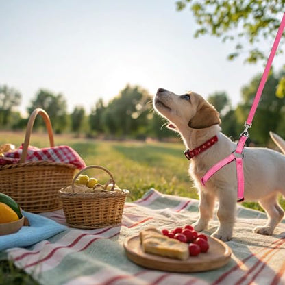 BINGPET Dog Harness Leash Set,Adjustable No Pull Step in Dog Harness,Stylish Denim Puppy Harness for Small and Medium Dogs Easy Walk Training Running(Pink,S) - color: Pink, size: S(Chest Girth:14.9''-20.9'')