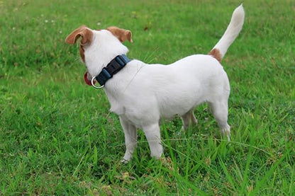 Mikivery Nylon Dog Collar with Quick Release Buckle Soft Adjustable Sturdy for Small Medium Large Dogs Haze Blue,L - color: Haze, size: L：17.5"-25.5"