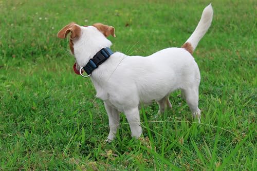Mikivery Nylon Dog Collar with Quick Release Buckle Soft Adjustable Sturdy for Small Medium Large Dogs Haze Blue,M - color: Haze, size: M：13"-20"